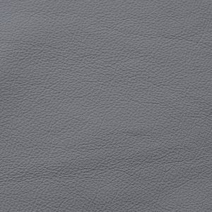 Seal Grey Uruguay