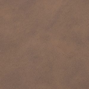 Terra Asia