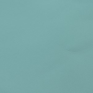 Tiffany Blue